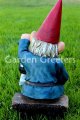 picture of READING GNOME WITH SOLAR LIGHT