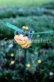 picture of DRAGONFLY GARDEN STAKE - MEDIUM