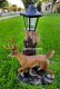 picture of SOLAR DEER STATUE FIGURINE DEER WHITE TAIL