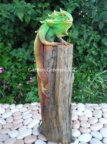 picture of IGUANA ON LOG - Click Image to Close