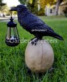 picture of SOLAR LARGE BLACK CROW RAVEN ON SKULL STATUE FIGURINE WITH SOLAR