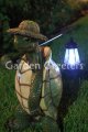 picture of TURTLE W/LIGHT