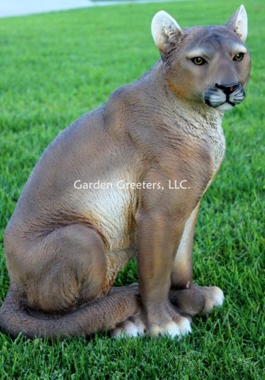 picture of MOUNTAIN LION/COUGAR/CATAMOUNT - Click Image to Close