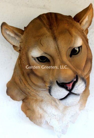 picture of MOUNTAIN LION HEAD WALL MOUNT STATUE - Click Image to Close