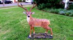 picture of LARGE DEER STATUE 8 POINT BUCK STATUE