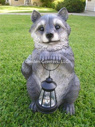 picture of RACOON WITH SOLAR LIGHT Solar Statue Raccoon Figurine - Click Image to Close