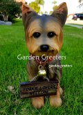 picture of YORKIE YORKSHIRE TERRIER STATUE YORKIE FIGURINE