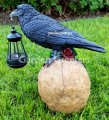 picture of SOLAR LARGE BLACK CROW RAVEN ON SKULL STATUE FIGURINE WITH SOLAR