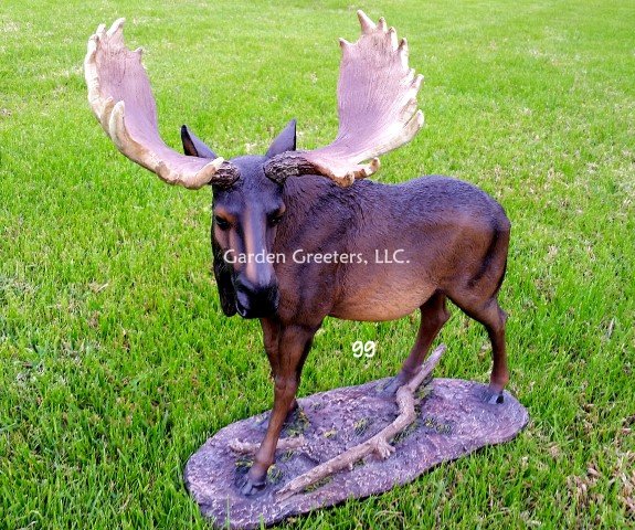 picture of LARGE MOOSE STATUE FIGURINE - Click Image to Close