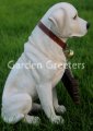 picture of YELLOW LABRADOR RETRIEVER STATUE FIGURINE DOG STATUE