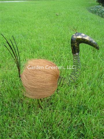 picture of COCONUT BIRD - MEDIUM HAIRY - Click Image to Close