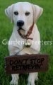 picture of YELLOW LABRADOR RETRIEVER STATUE FIGURINE DOG STATUE