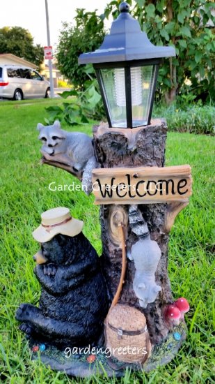 picture of BEAR RACOON WITH SOLAR LIGHT STATUE SOLAR BEAR RACOON LANTERN FI - Click Image to Close