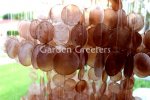 picture of LARGE AMBER CAPIZ WIND CHIMES