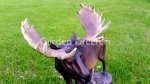 picture of LARGE MOOSE STATUE FIGURINE