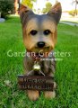 picture of YORKIE YORKSHIRE TERRIER STATUE YORKIE FIGURINE