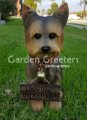 picture of YORKIE YORKSHIRE TERRIER STATUE YORKIE FIGURINE