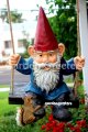 picture of GNOME ON SWING
