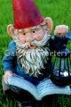 picture of READING GNOME WITH SOLAR LIGHT