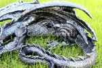 picture of SLEEPING DRAGON GOTHIC STATUE DRAGON FIGURINE