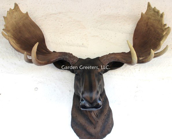 picture of MOOSE HEAD WALL MOUNT - Click Image to Close