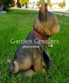 picture of YORKIE YORKSHIRE TERRIER STATUE YORKIE FIGURINE