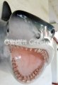 picture of SHARK HEAD WALL MOUNT STATUE