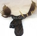 picture of MOOSE HEAD WALL MOUNT