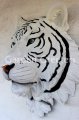 picture of WHITE TIGER HEAD WALL MOUNT STATUE